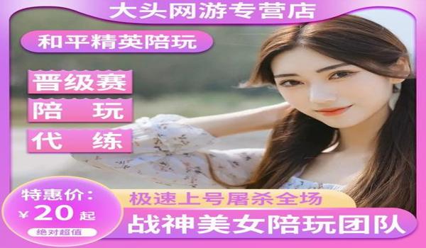 和平精英陪玩辅助软件